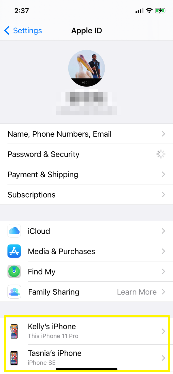 How To Check iCloud Signed In Devices On iPhone iPad