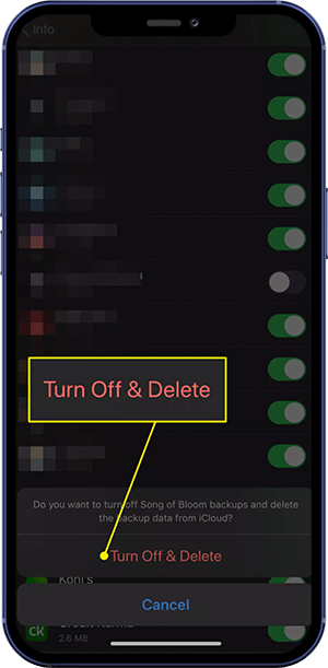 How To Permanently Delete Apps on iCloud