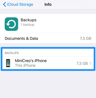 How To Assecc iCloud Backup on iPhone