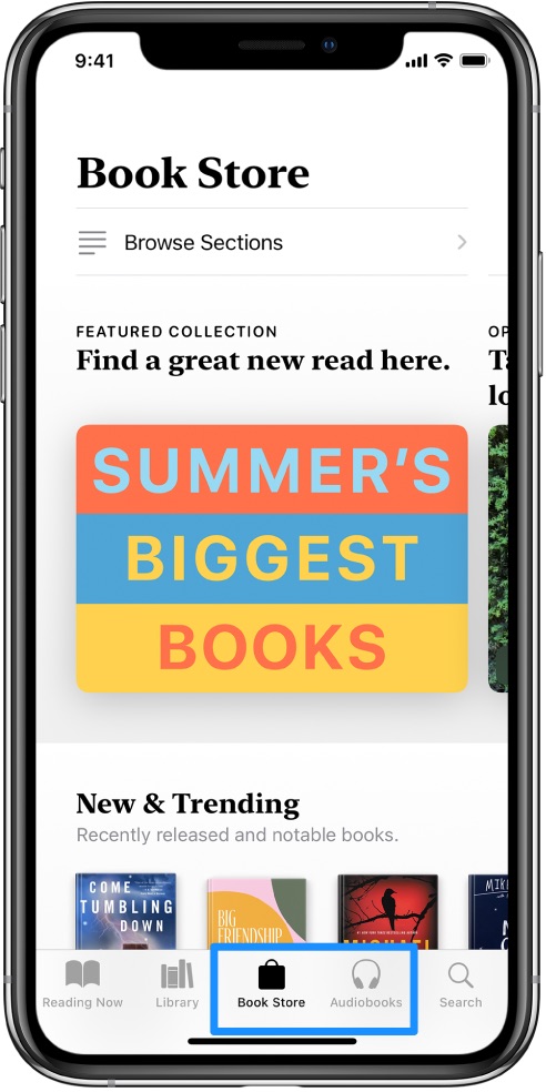 How To Download Books/Audiobooks on iPhone 12 Mini/Pro